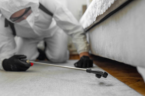 Professional Bed Bug Control technician working in Randolph County County, IN